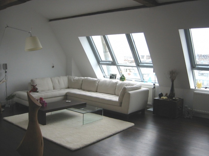 Loft bd Voltaire 75011 : sjour